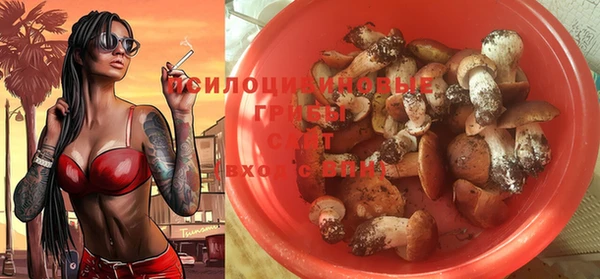 прущая мука Верхний Тагил