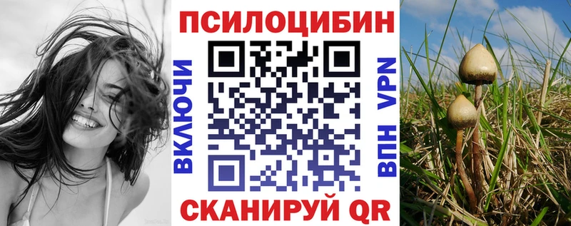 мега сайт  Горбатов  Галлюциногенные грибы Psilocybe 